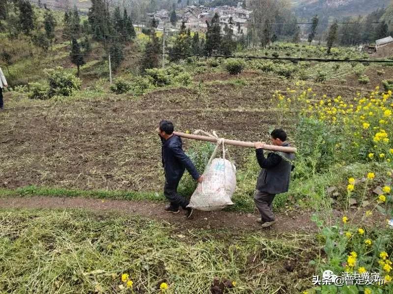 江苏洋生物科技，引领科技创新，塑造未来生物产业新篇章