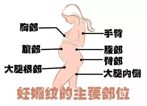 孕妇七个月女孩儿肚型，探索孕期身体变化的奥秘