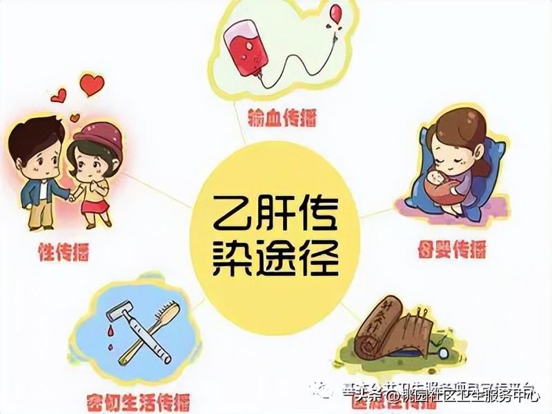 广东省如何快速接种疫苗，策略与实践