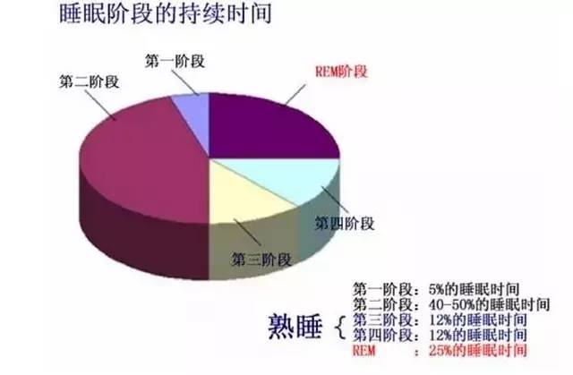 探索人类睡眠的秘密，关于16个月睡眠时间的深度解析