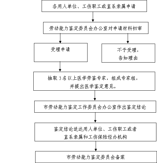 广东省认定职称照片的重要性及其相关流程