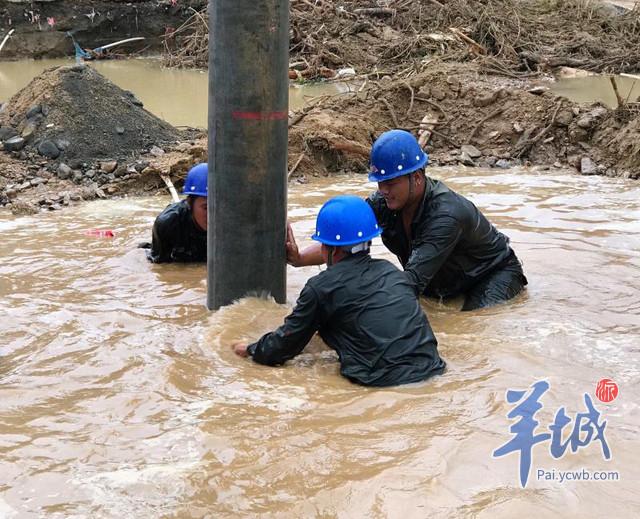 广东省塔吊管理规定