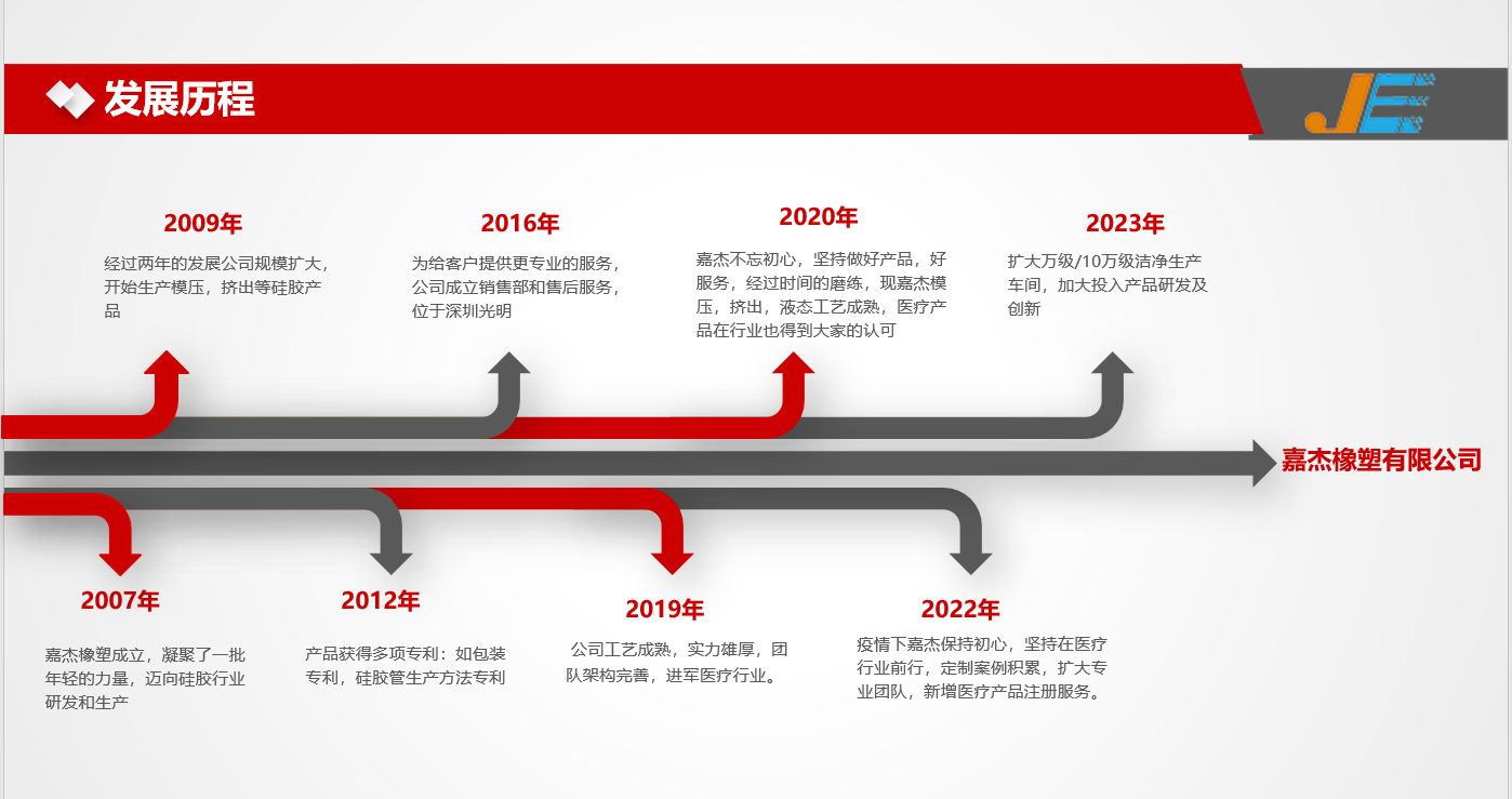 广东龙凤有限公司，历史沿革、业务布局与未来展望