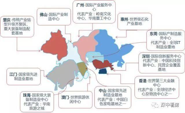 广东省规划院贪污事件深度剖析