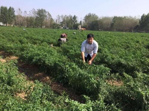 揭秘时间流转的秘密，关于怀孕周期中的34周等于几个月的探讨