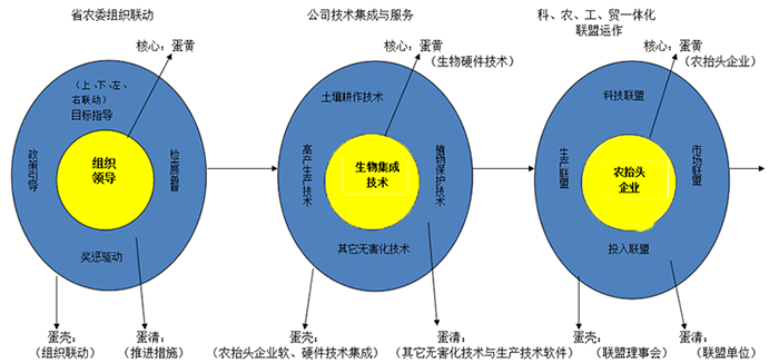 江苏省科技经费，推动科技创新与发展的强大引擎