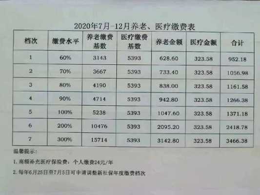 自己交社保一个月多少钱？全面解析社保费用及影响因素