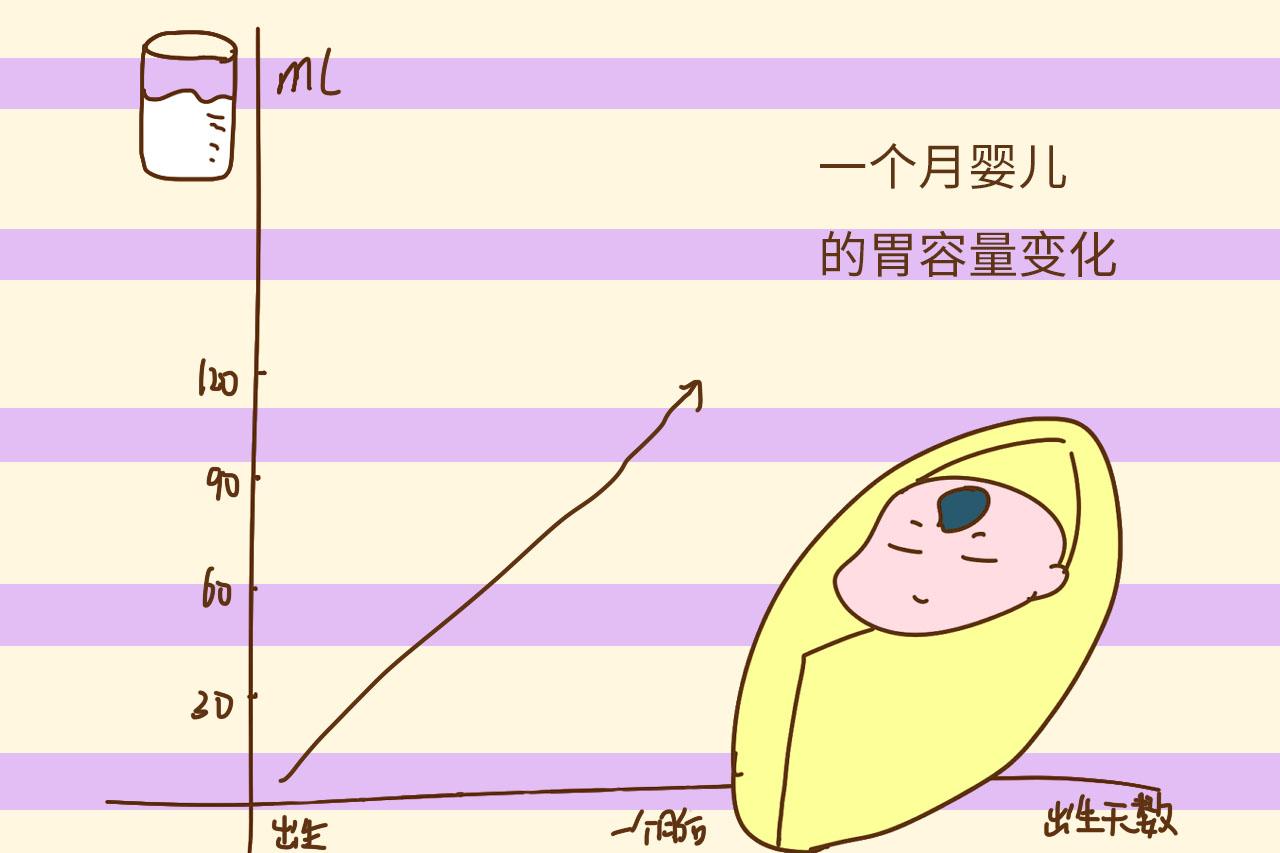 四个月的宝宝胃容量发展，探索婴儿期的胃部成长